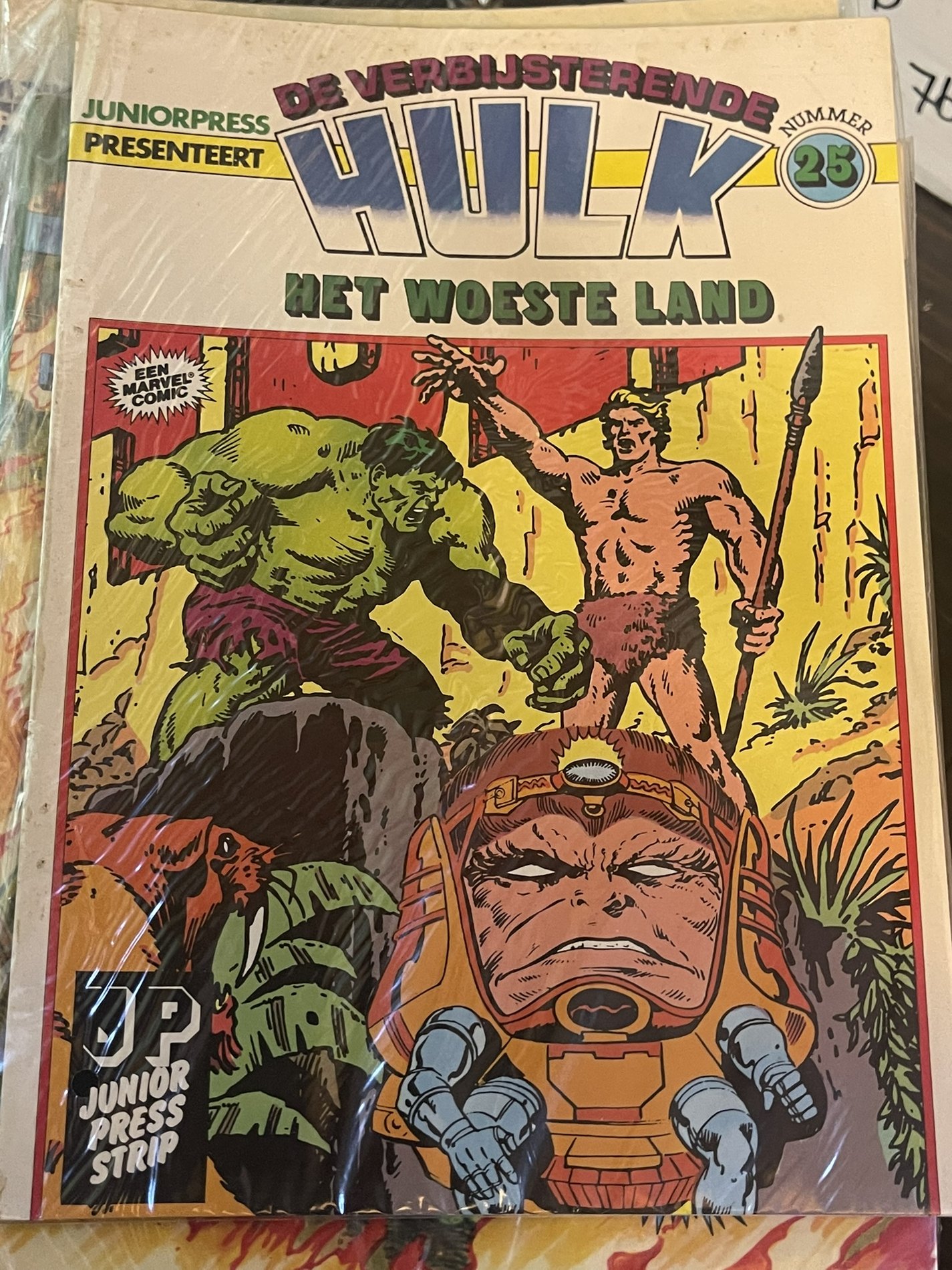 Cover van Het woeste land