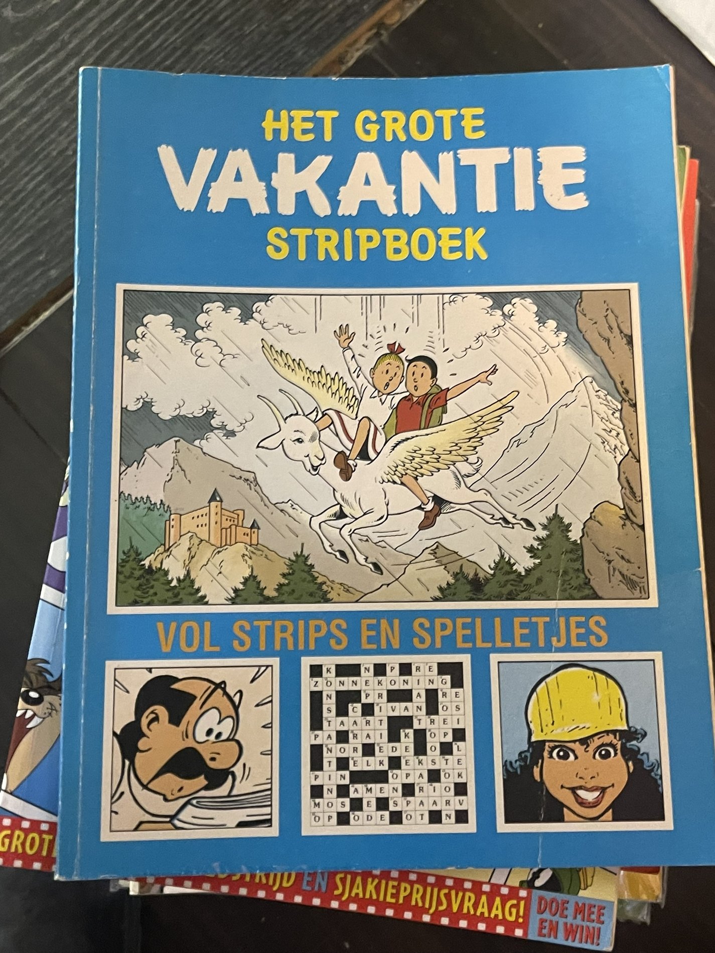 Het grote vakantie stripboek