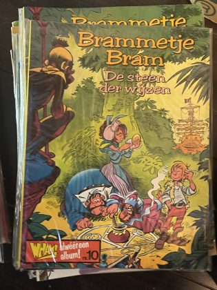 Cover van De Steen der Wijzen