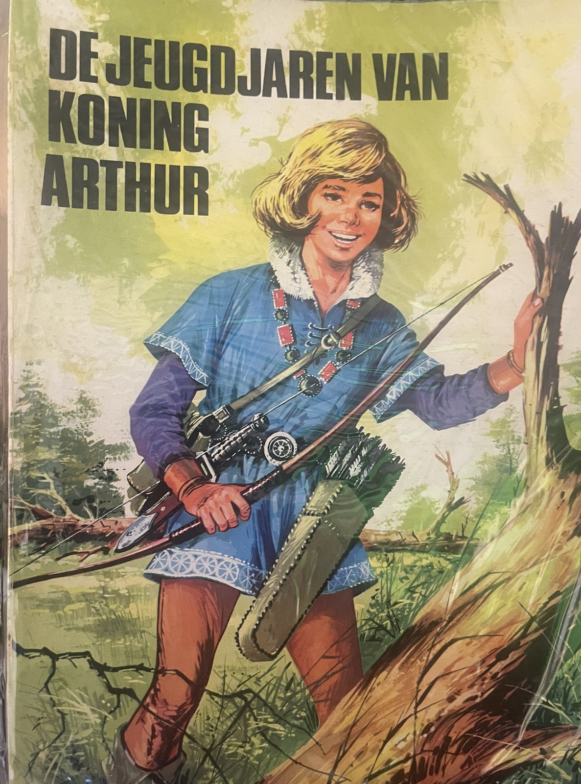 Cover van De jeugdjaren van koning Arthur