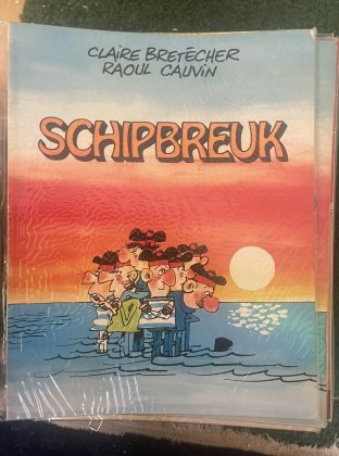 Cover van Schipbreuk