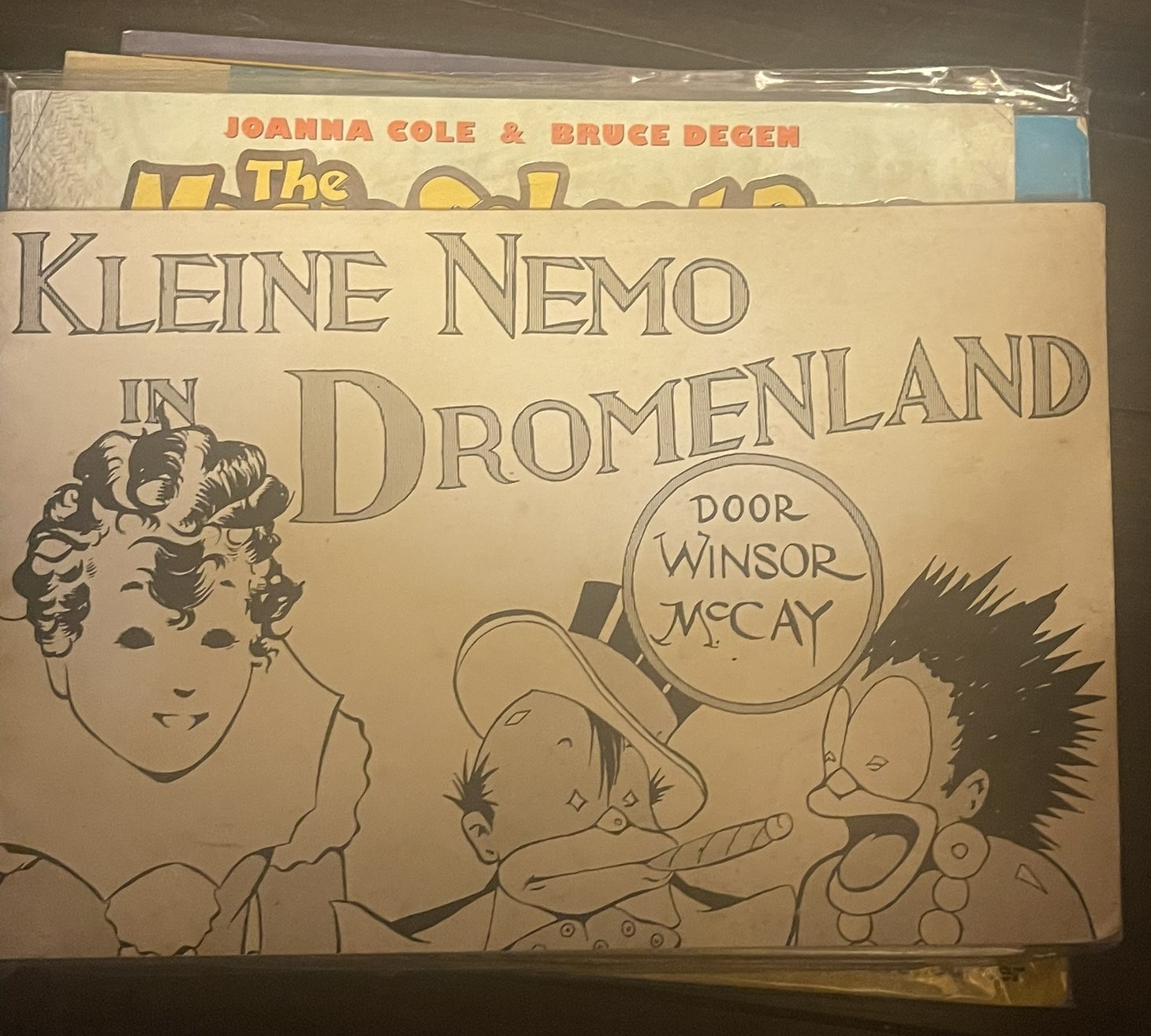 Cover van Kleine Nemo in Dromenland