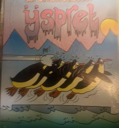 Cover van IJspret