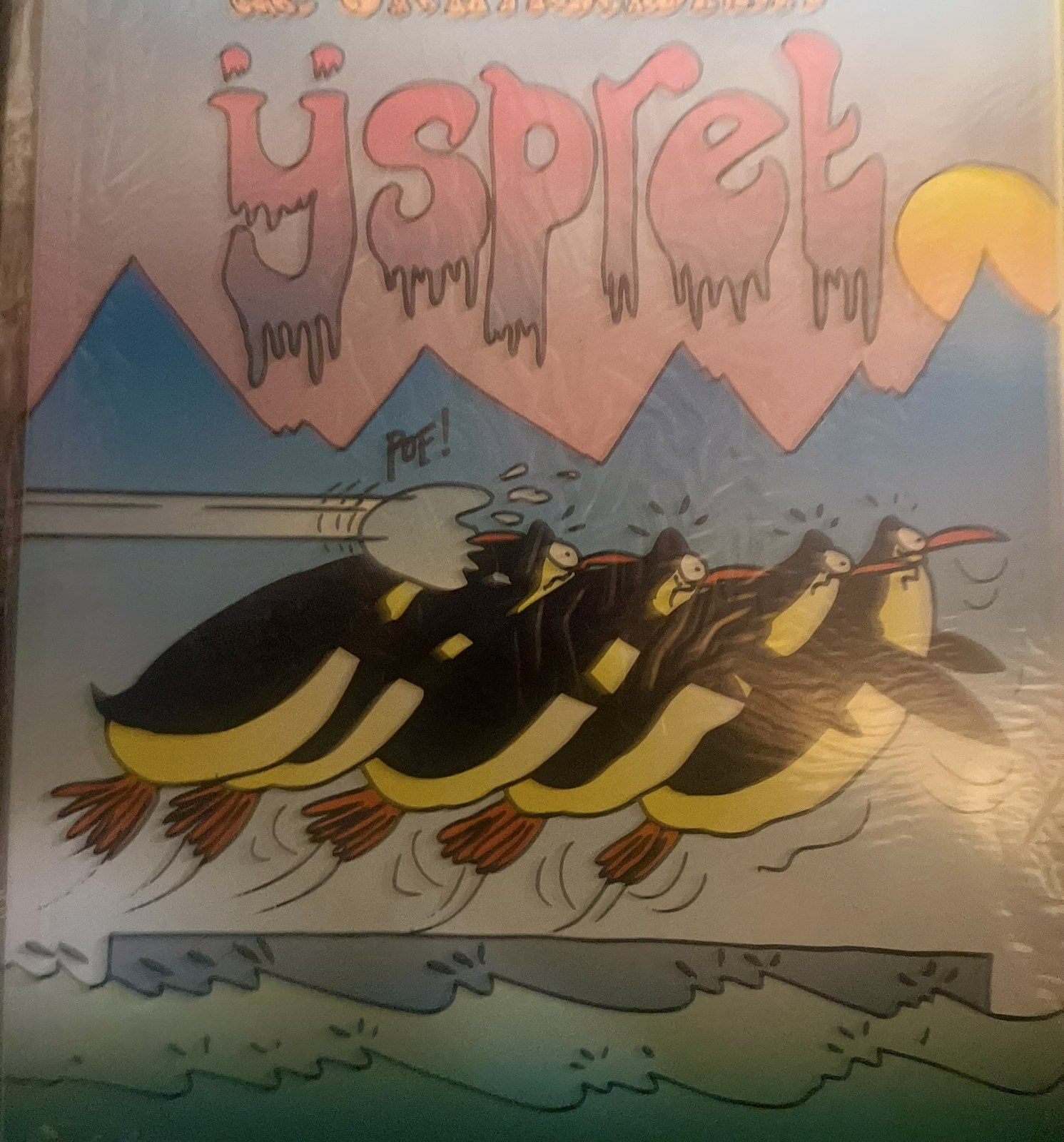 Cover van IJspret