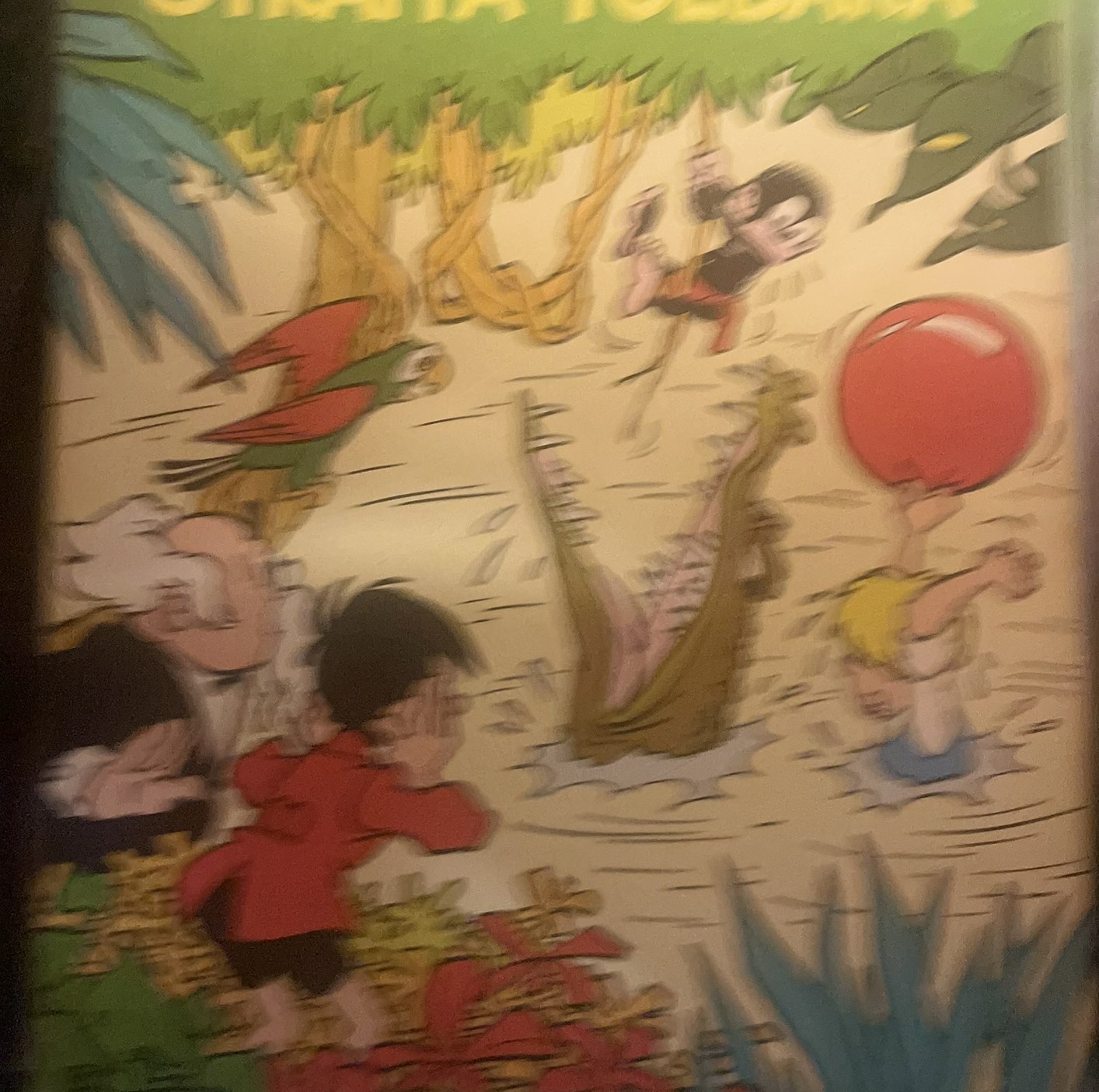 Cover van Straffa Toebaka