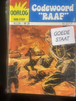 Cover van Codewoord 'Raaf'