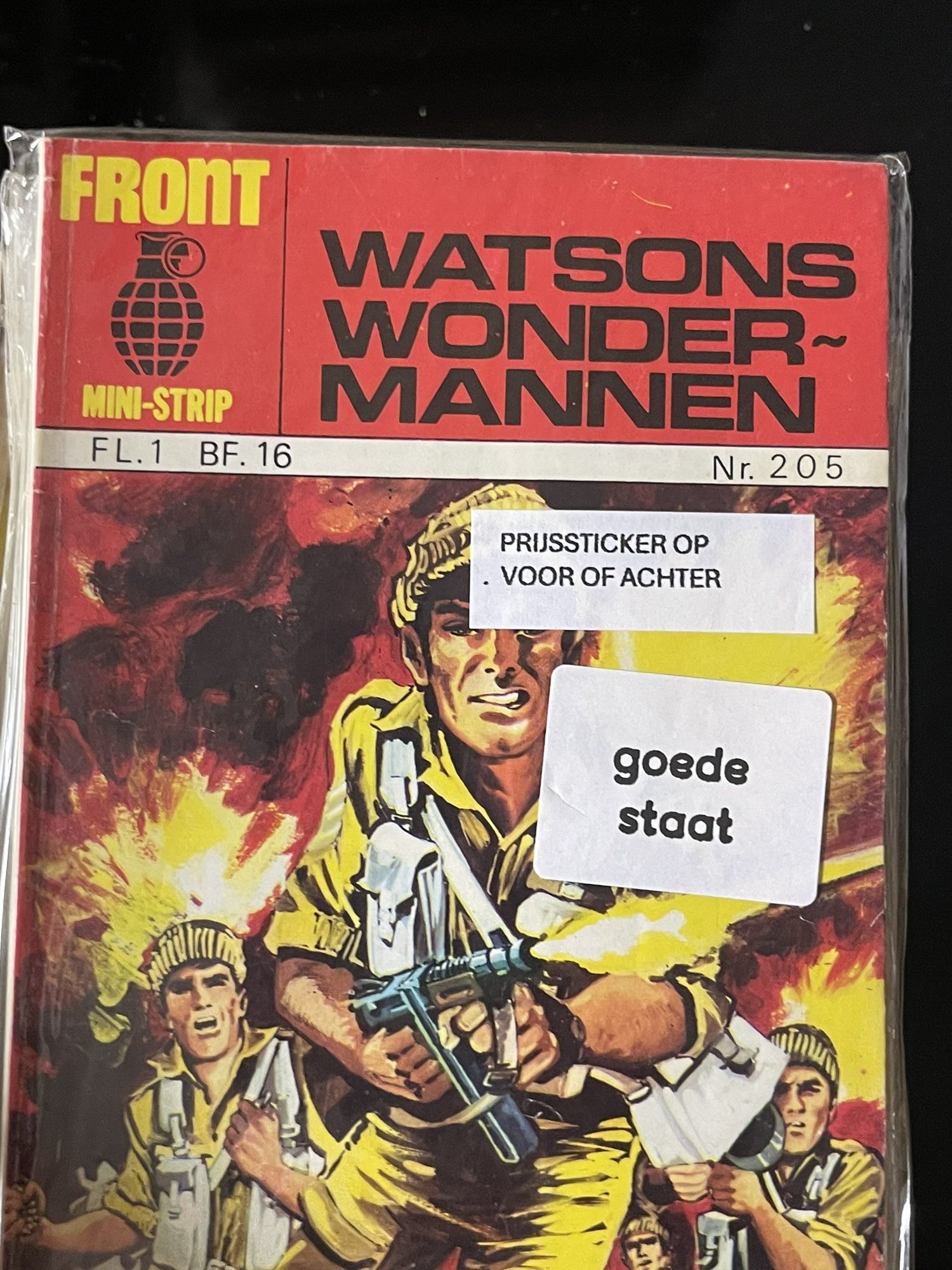 Cover van Mannen op de maan