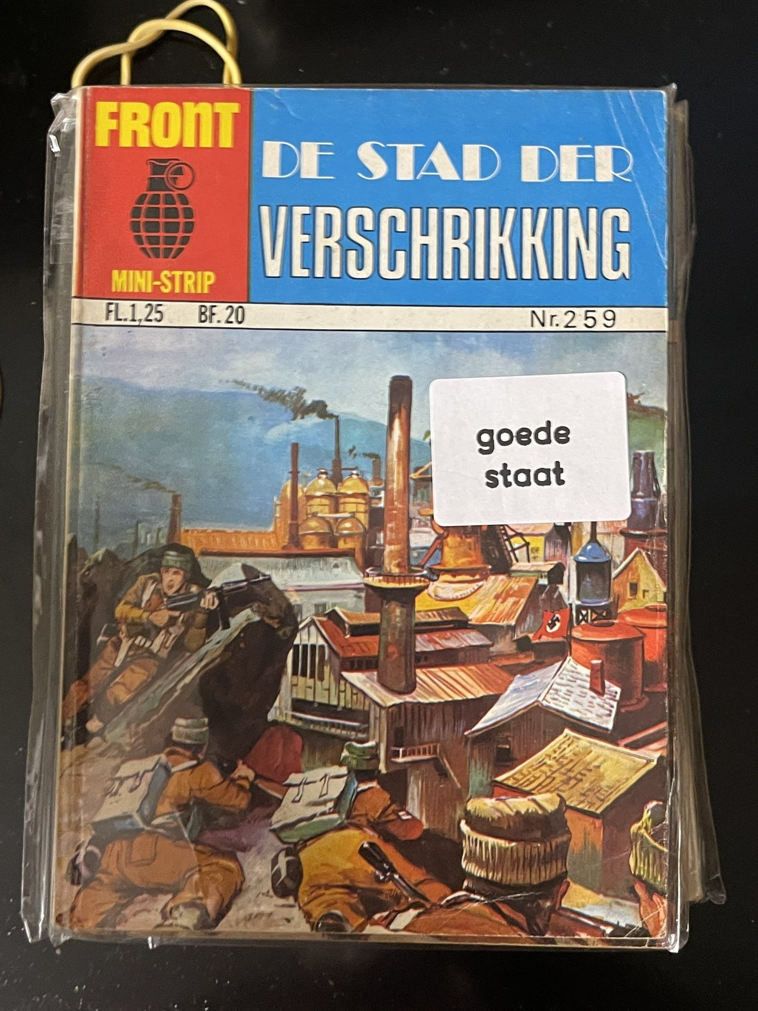 Cover van De stad der verschrikking