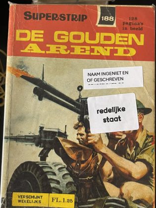 Cover van Gestolen schatten