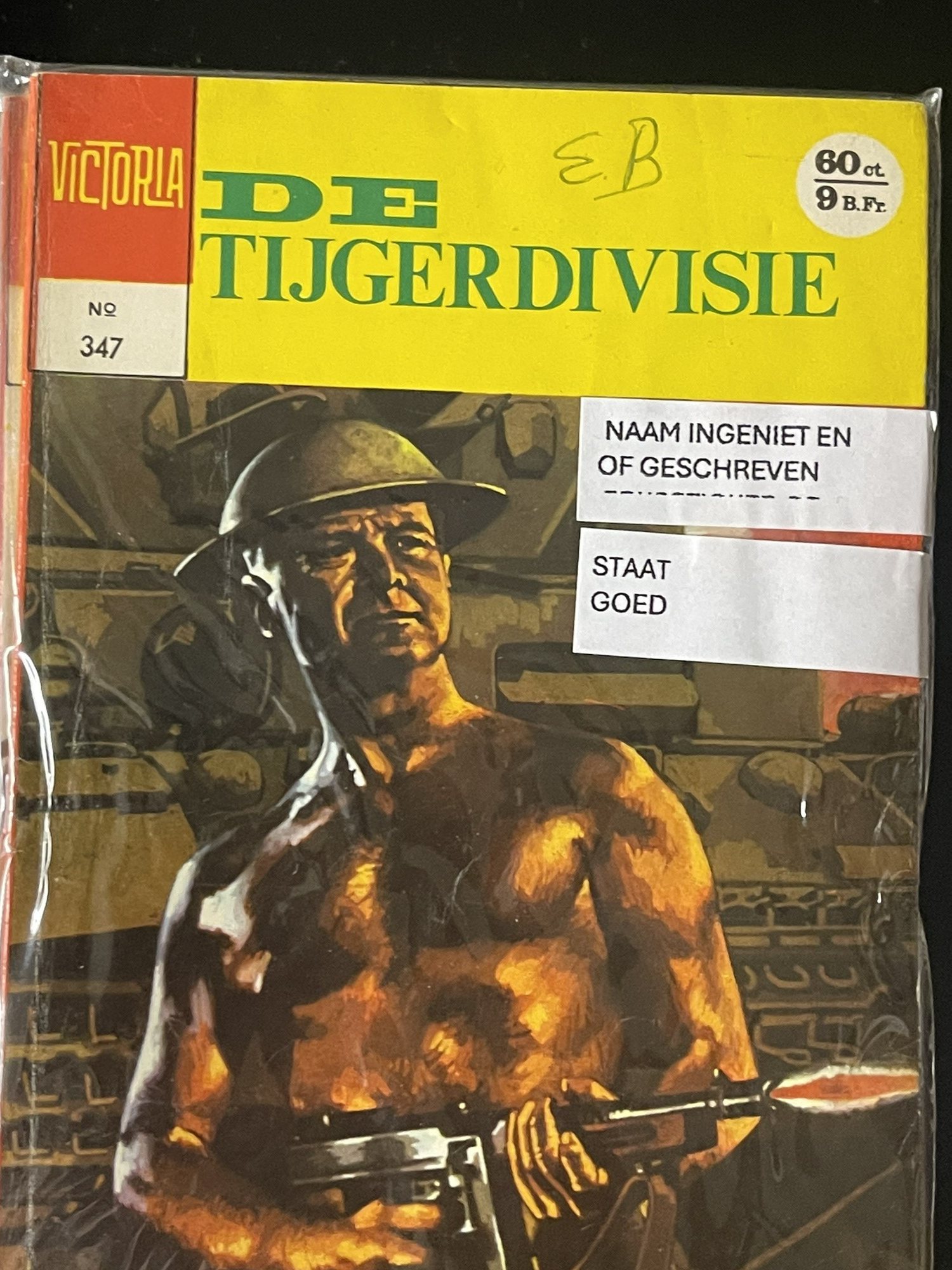 Cover van De tijgerdivisie
