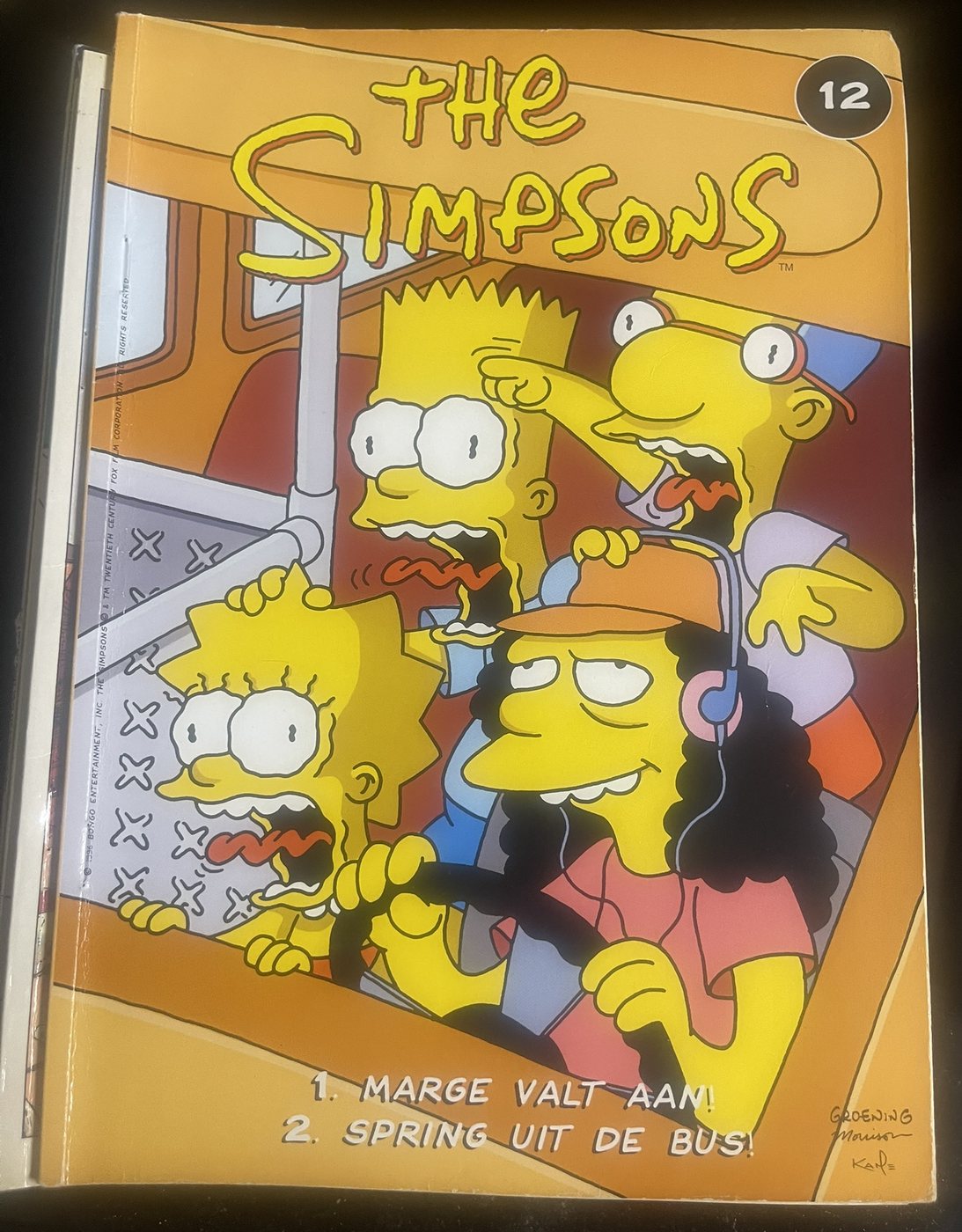 The Simpsons 12