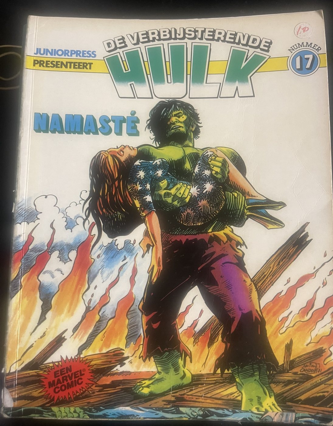 De Verbijsterende Hulk 17 - Namaste