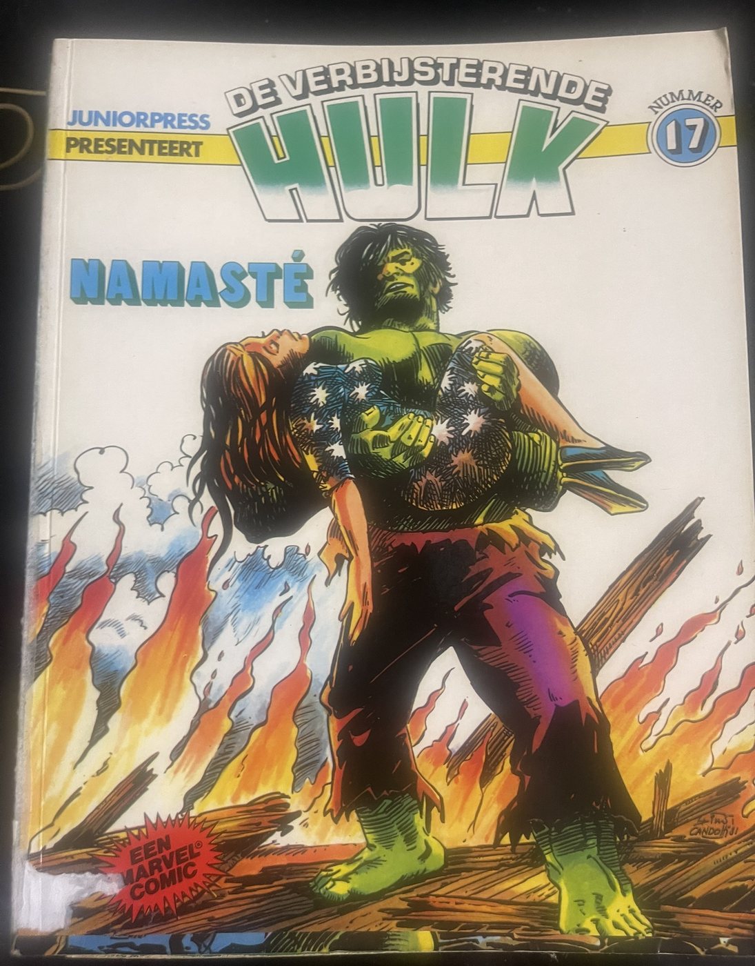 De Verbijsterende Hulk 17 - Namaste