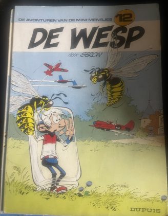 De Wesp 12