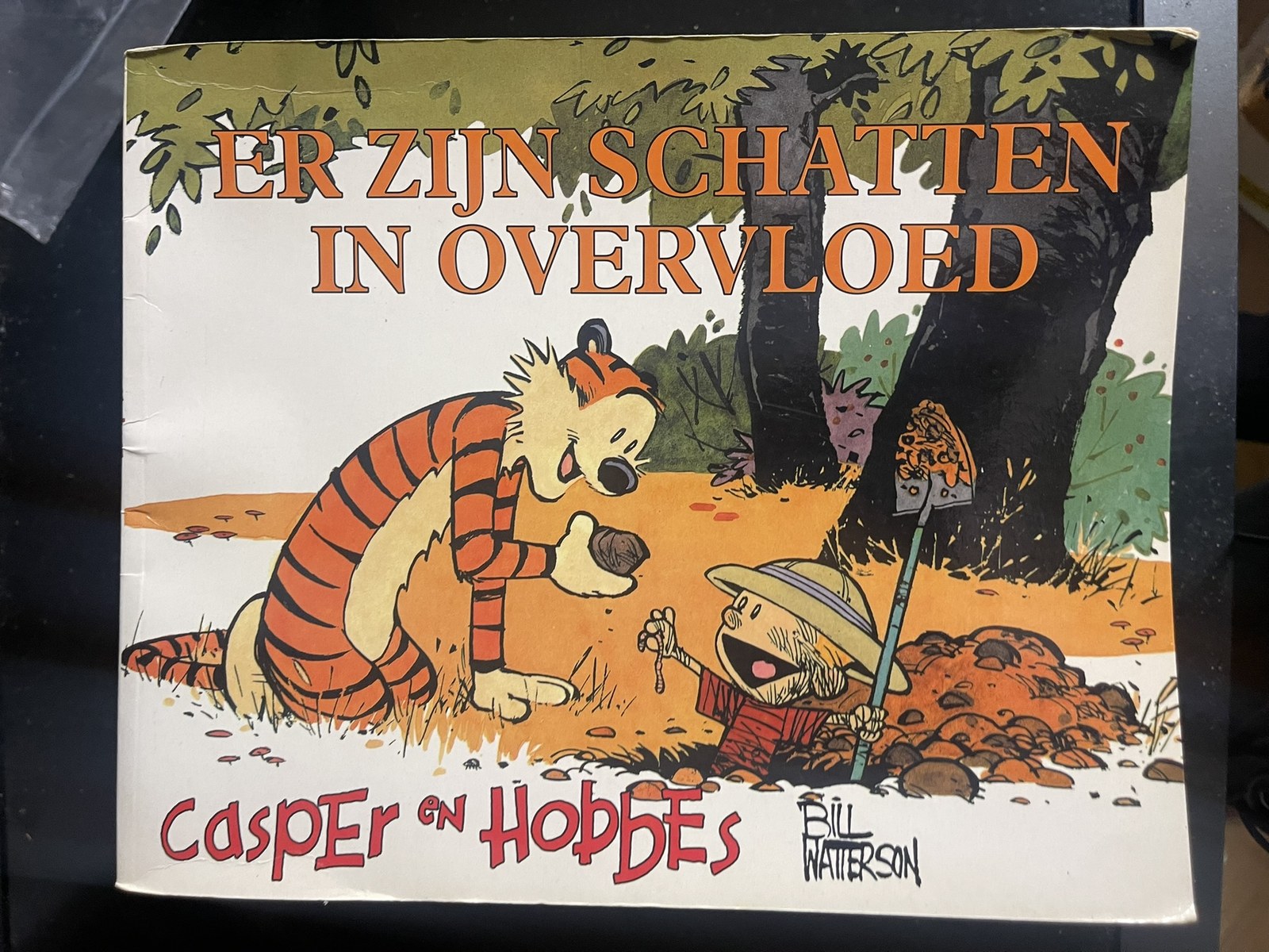 Casper en Hobbes 10 - Er zijn schatten in overvloed