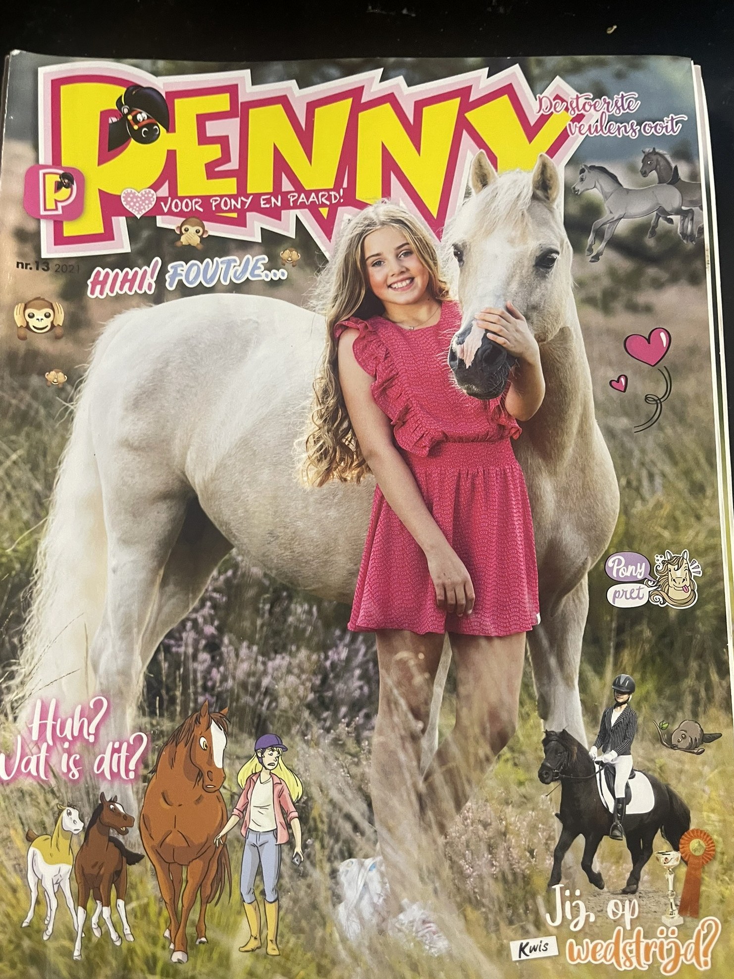 Cover van Penny 13