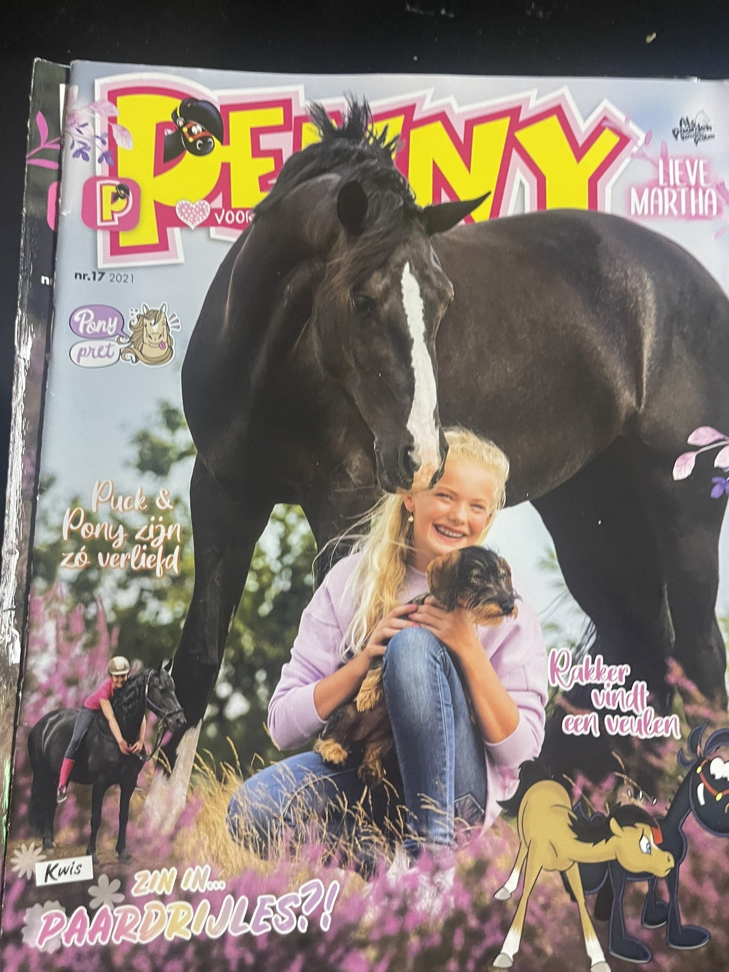 Cover van Penny 17