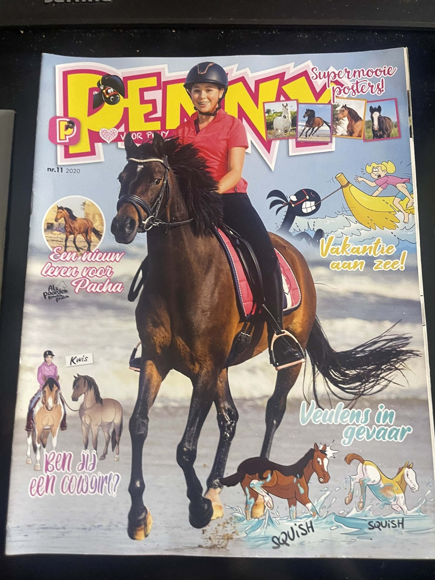 Cover van Penny 11