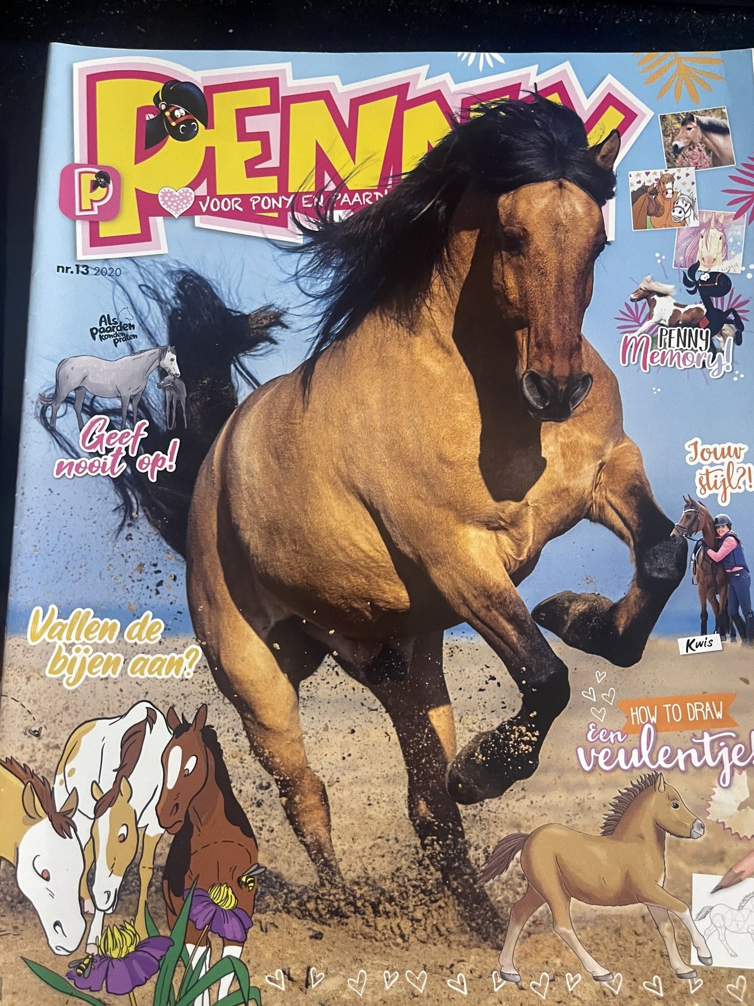 Cover van Penny 13