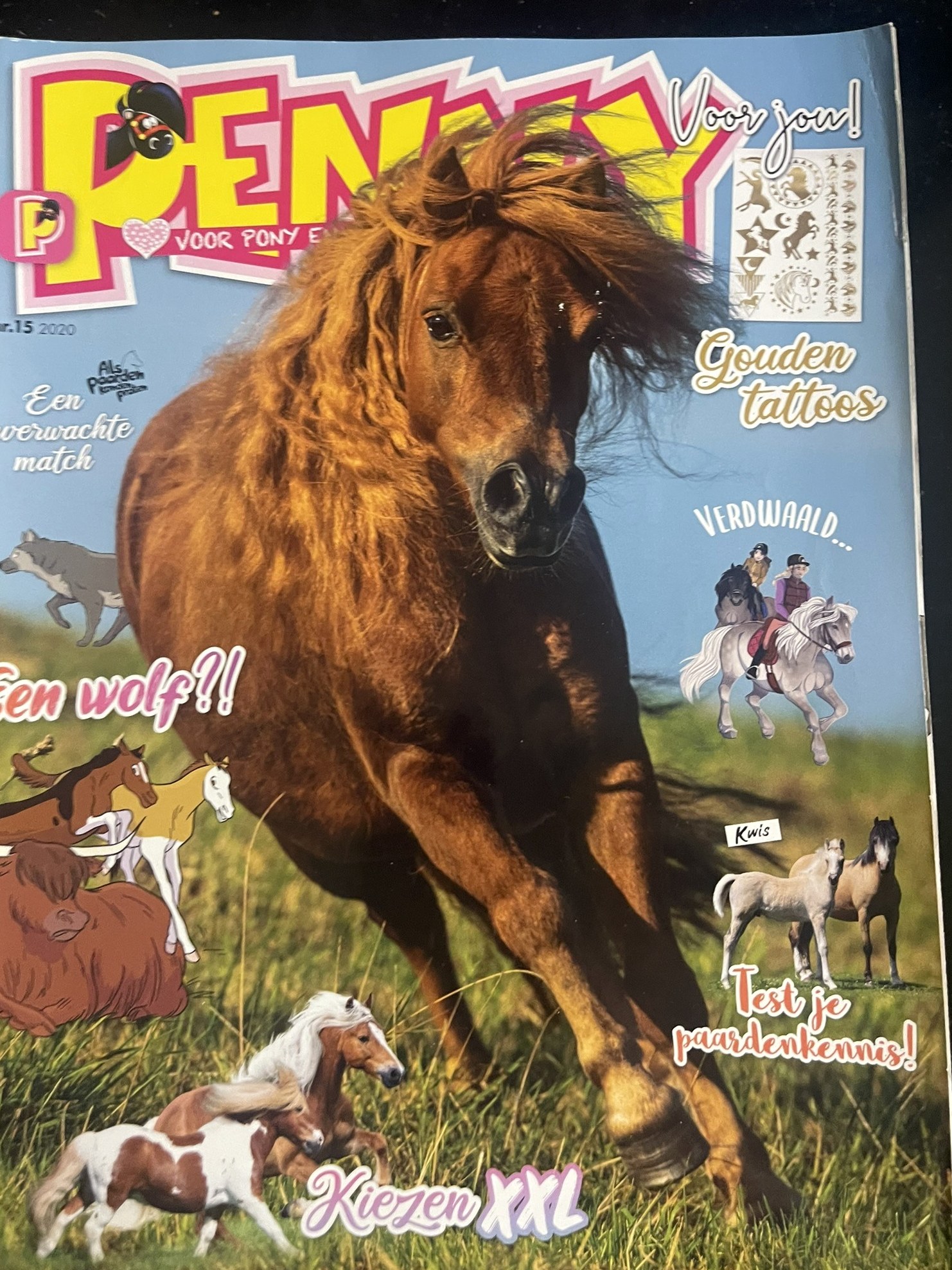 Cover van Penny 15