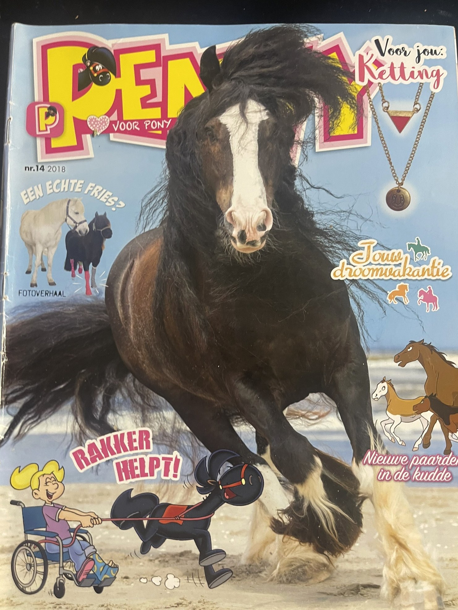 Cover van Penny 14