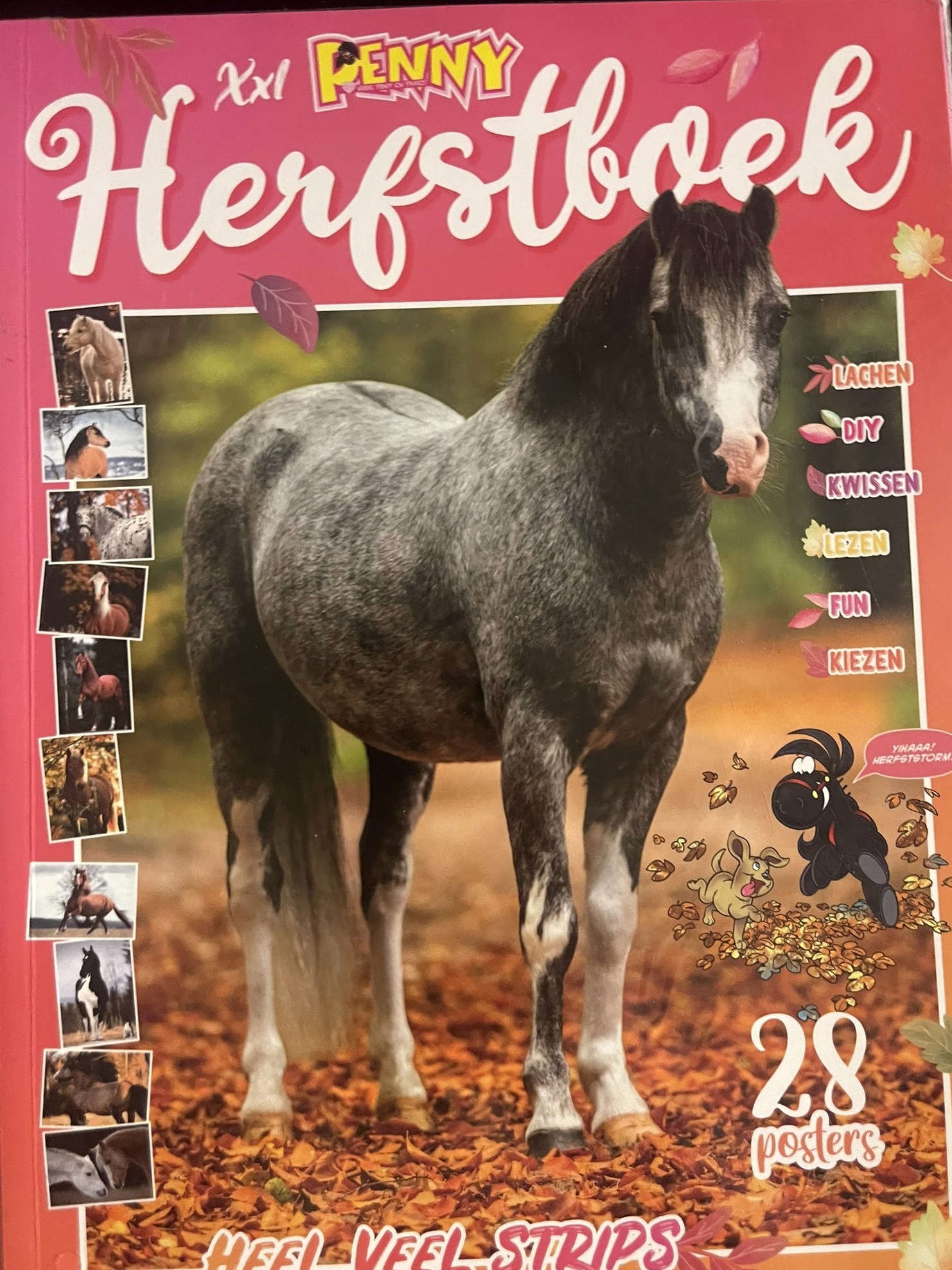 Cover van Penny 14
