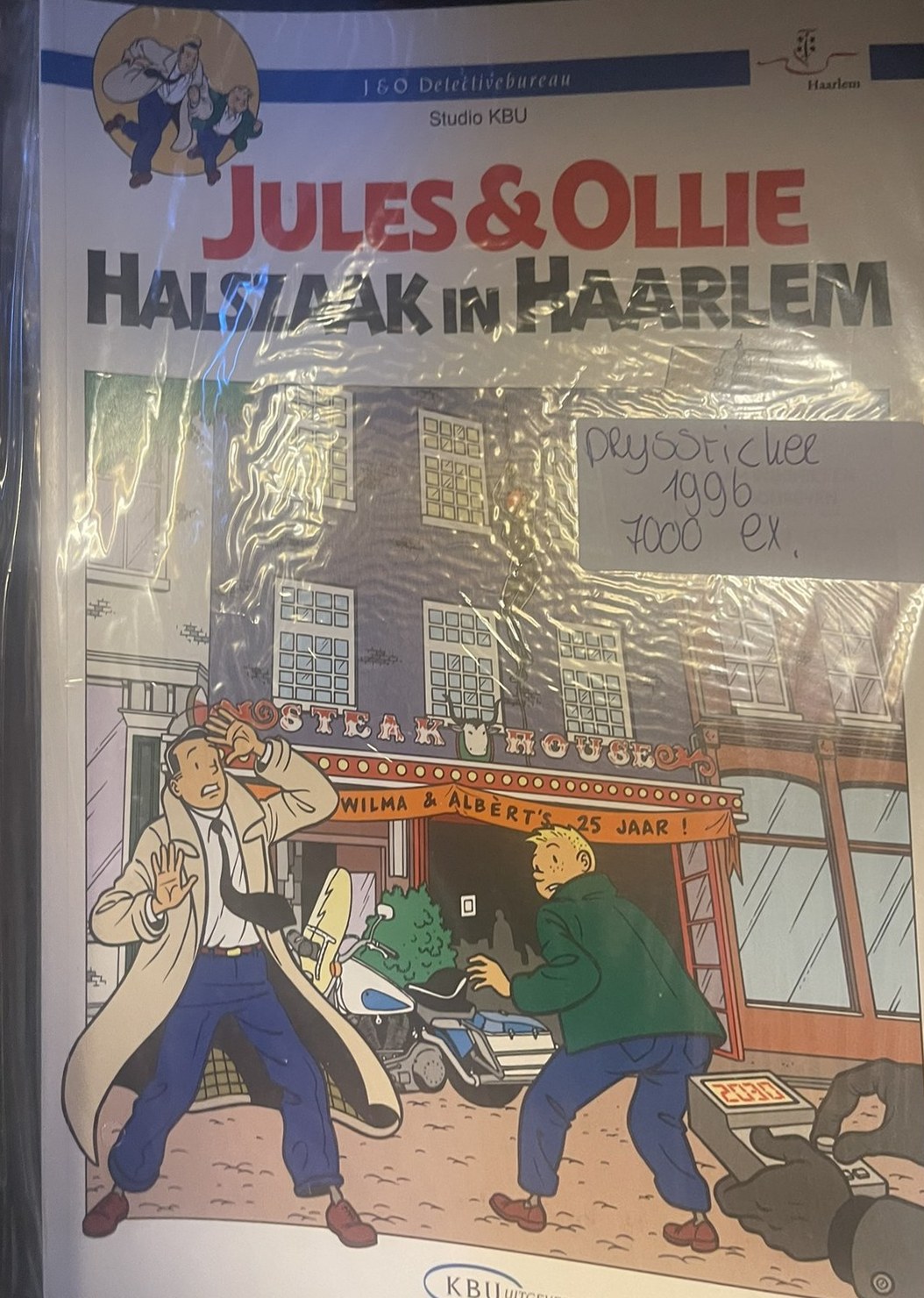Cover van Halszaak in Haarlem