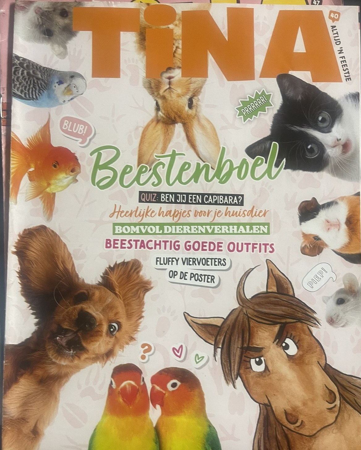 Cover van Tina 40
